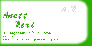 anett meri business card